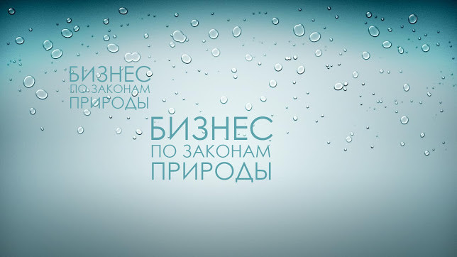 Бизнес-школа системного мышления