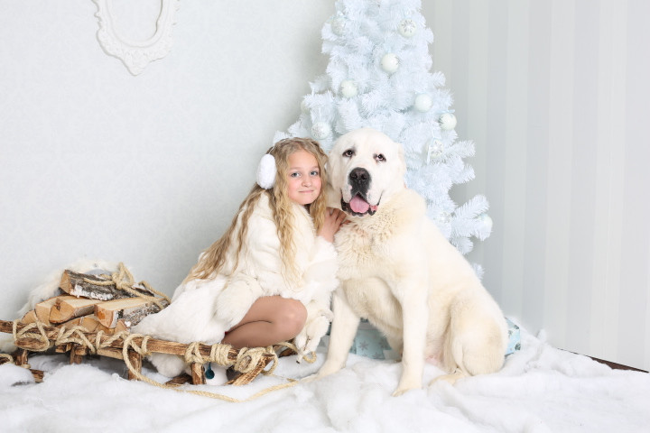 Зимняя фотосессия 2014) Продолжение)