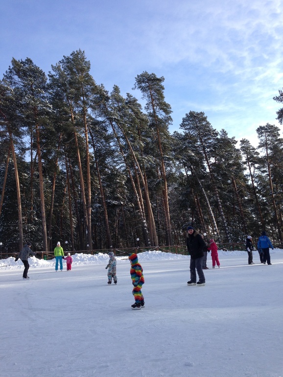 Яхонты Заповедник Таруса 24-01-2014