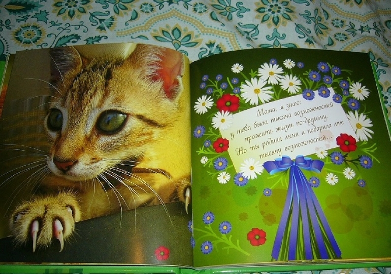 Потрясающие КНИЖКИ-ОТКРЫТКИ для самых близких и родных людей