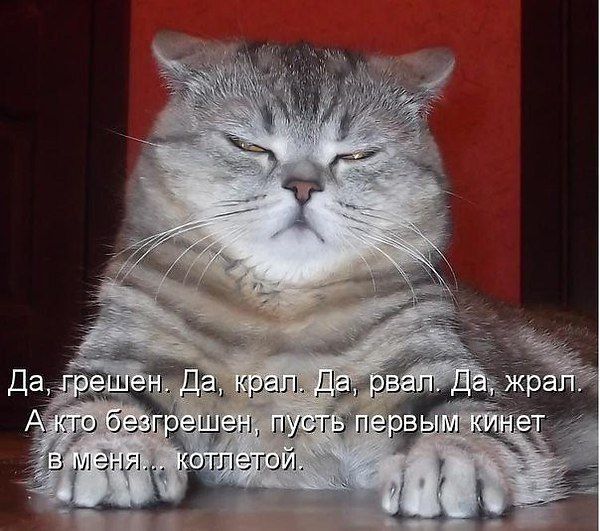 КОТ