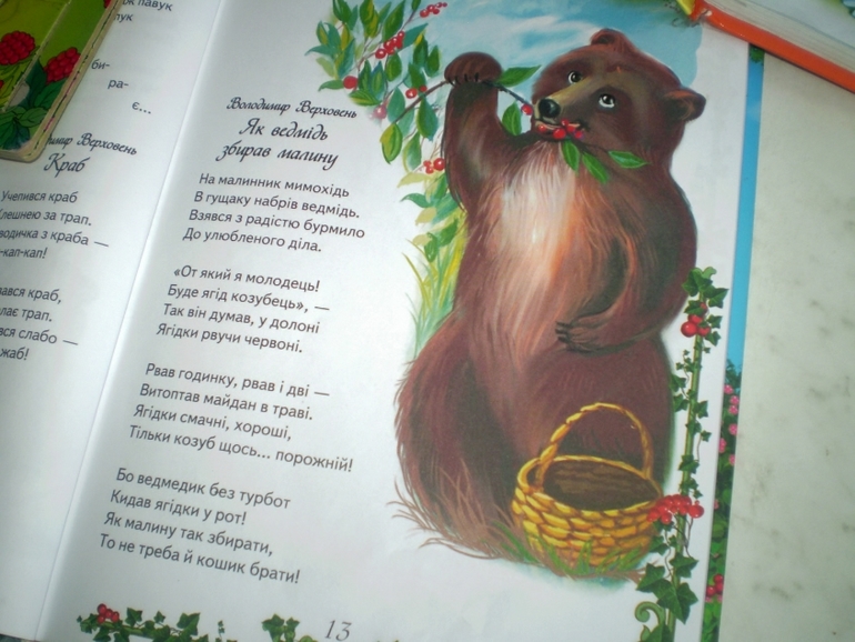 ФМ Лесные животные Медведь