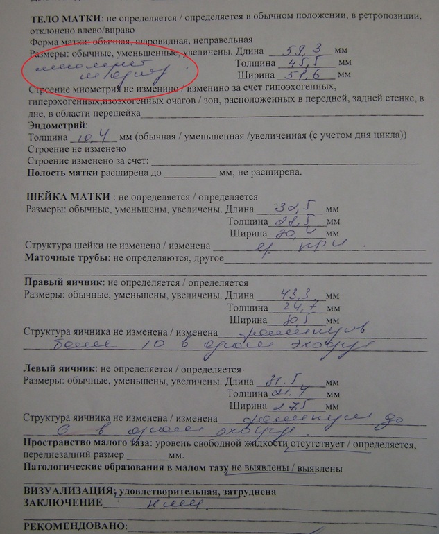 помогите разобрать подчерк узита