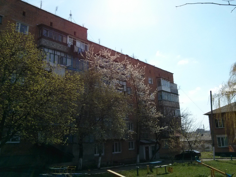 В новом дворе