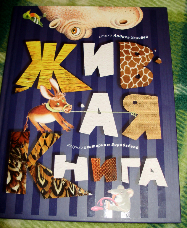 Зимние книги и другие новинки декабря