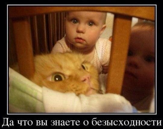Юмор)