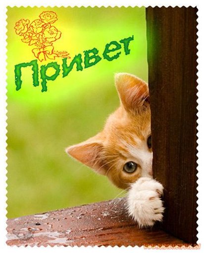 А вот и мы!))