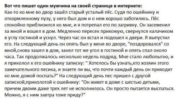 юмор )))