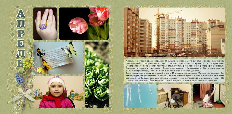 Мой проект 365/2013 (многострадальный)