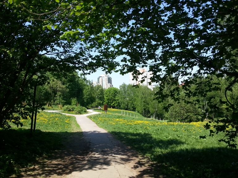 Прогулки