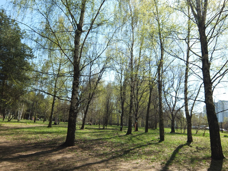 Просто прогулка