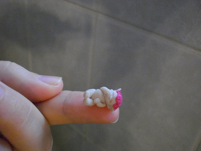 Micro Elfy Girl