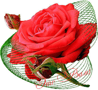 Именинницы ღ ღ ღ 17 января ღ ღ ღ