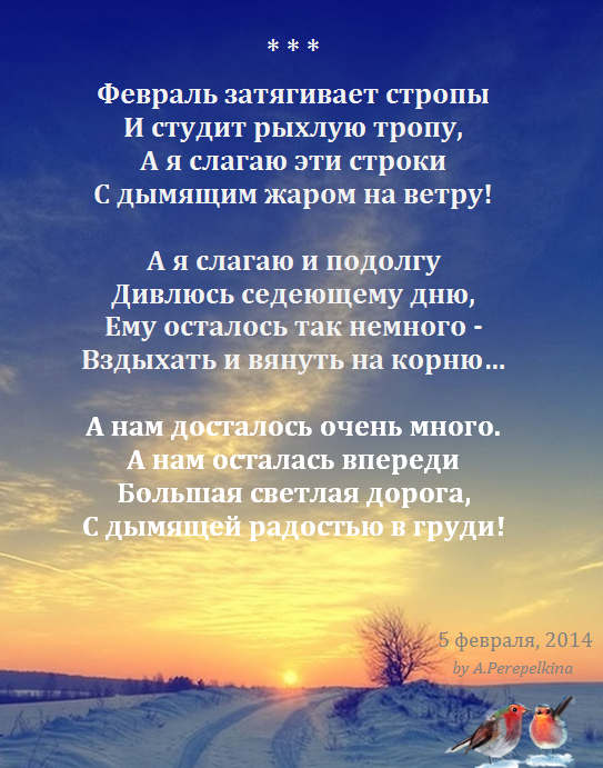 15 лет