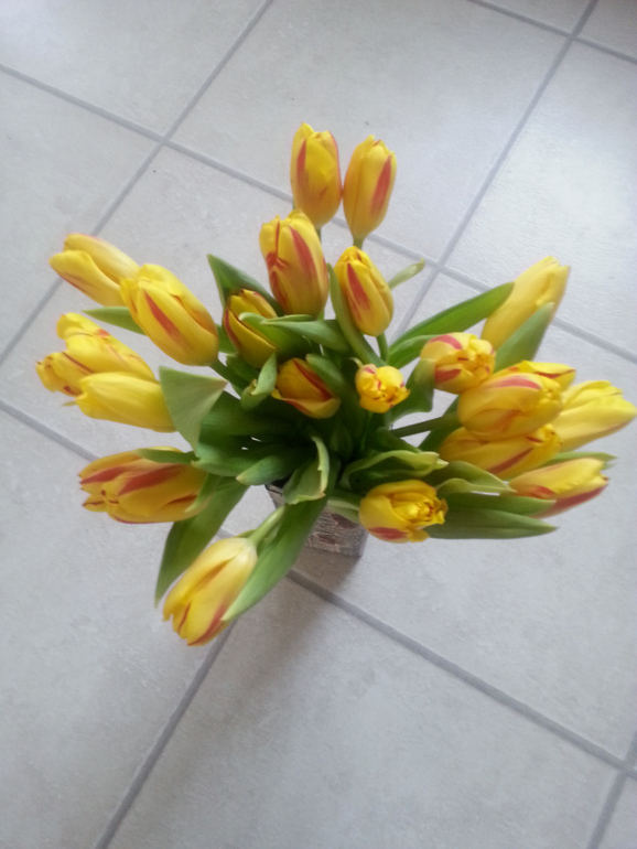 Мое 8 марта