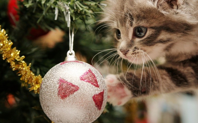 Счастливого Нового года!