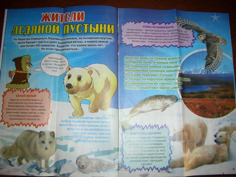 Журнал
