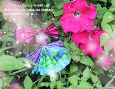 ef3263619f35effa283ff3eb19ec2441.jpg