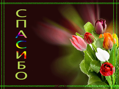 Благодарность Елене!