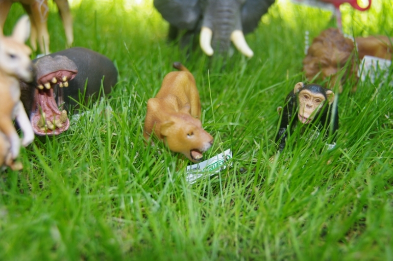Zoo