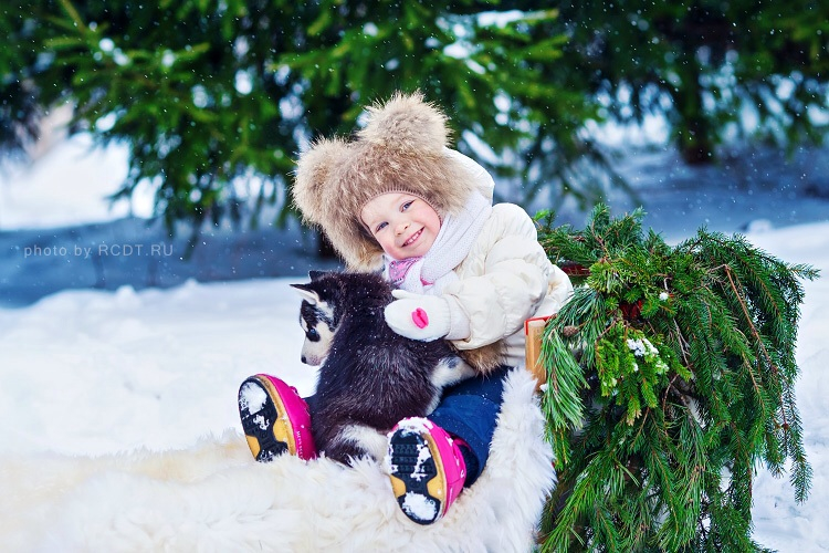 Наша зимняя сказка с хаски!!!:)
