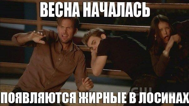 Лосины)))