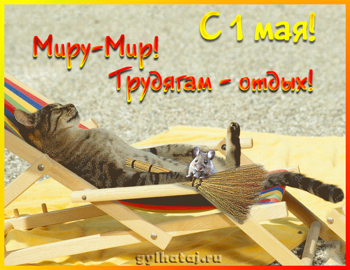 С праздником!!!!