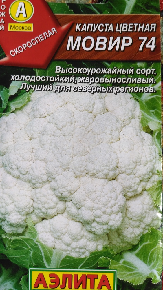 Капуста цветная мовир 74 выращивание 99