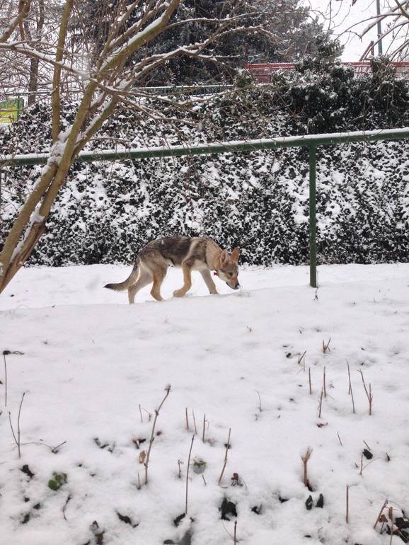 И к нам пришла зима :)