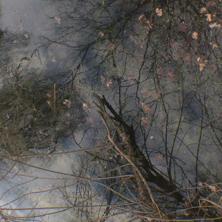 Телефонофотострасть