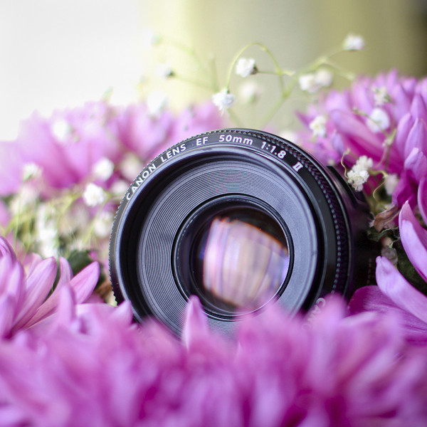 Голосование на новую аватарку