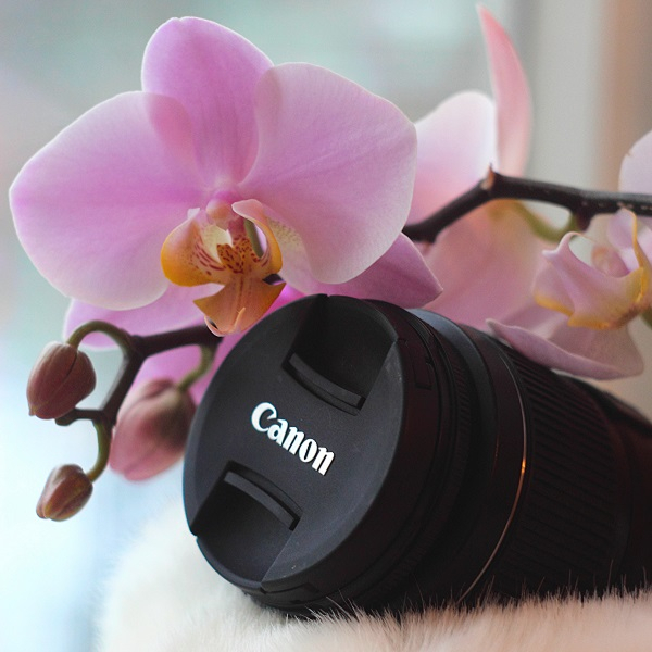 Голосование на новую аватарку