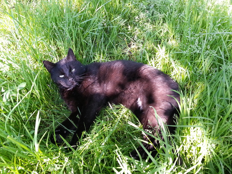 Брестский мотофестиваль 23-25.05.2014 г