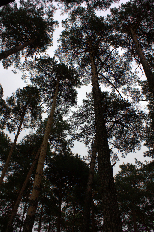 Минск. Осень 2013 г