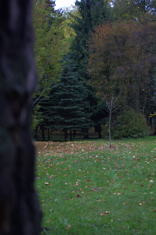 Минск. Осень 2013 г