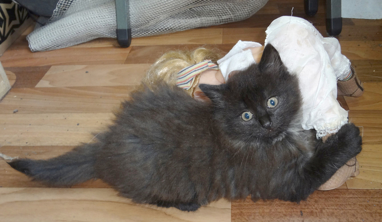 Прошу помощи в подборе имени)