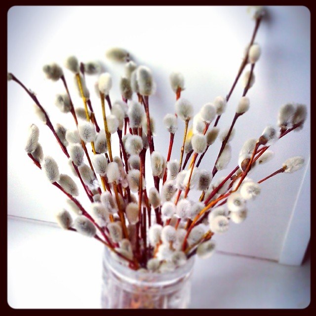 Всех с Вербным Воскресеньем!!!