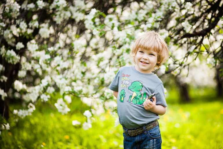 Яблоневый сад!