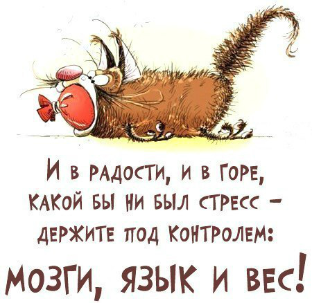Открытки с юмором на каждый день с намеком 85