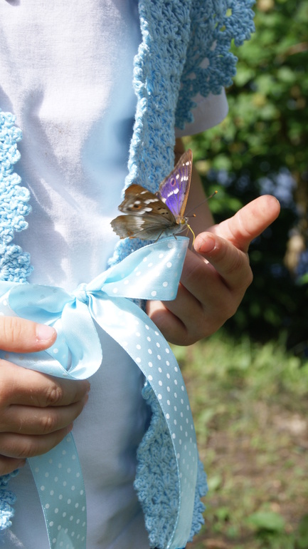 безрукавка из он-лайн