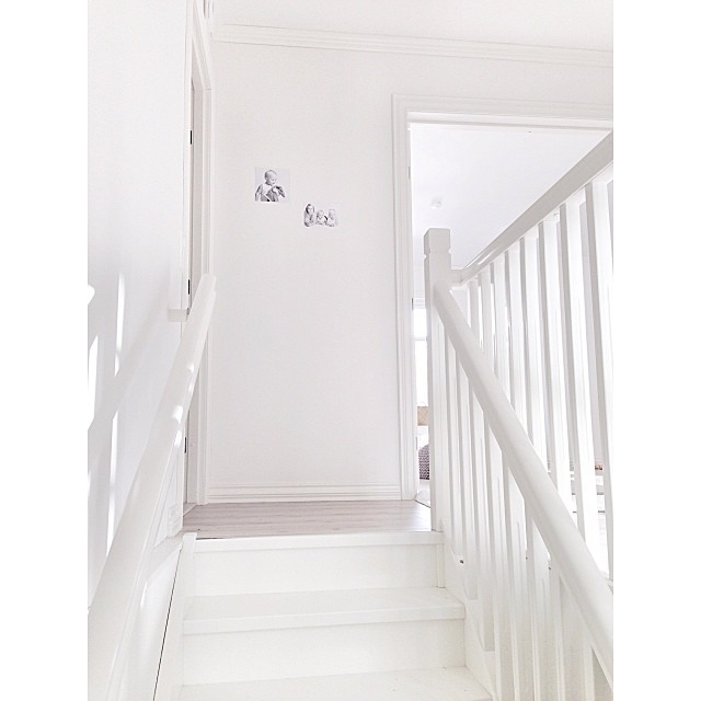 Сканди (@sivasverden)