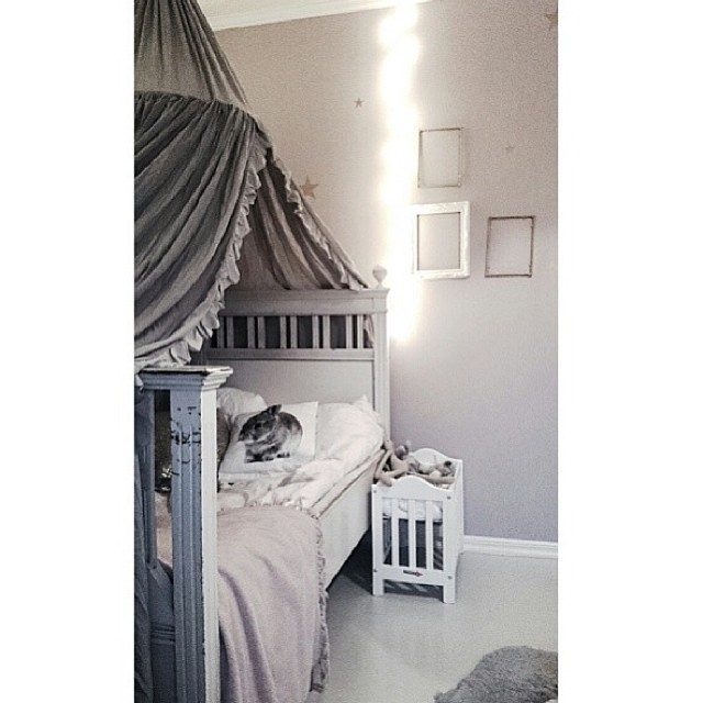 Сканди (@homebycaroline)