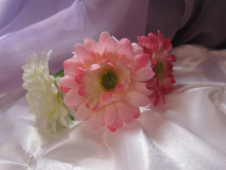 Мои первые)))