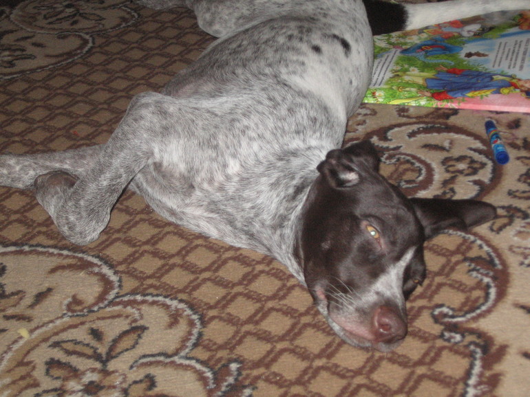 Моя мечта....................