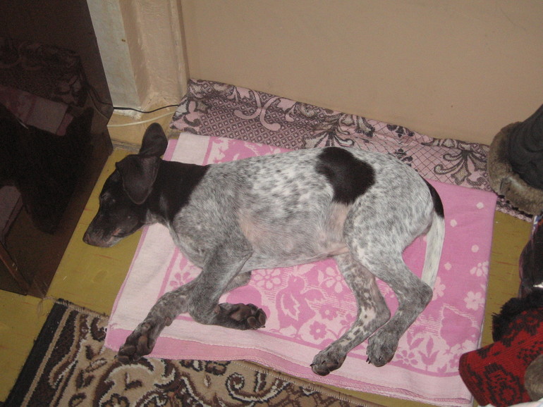 Мой сумасшедший дом.