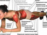 Тренировки для Светы