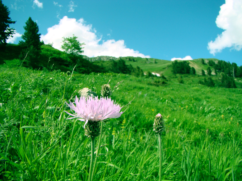 Контрольное задание № 6. Три способа цветокоррекций фотографий
