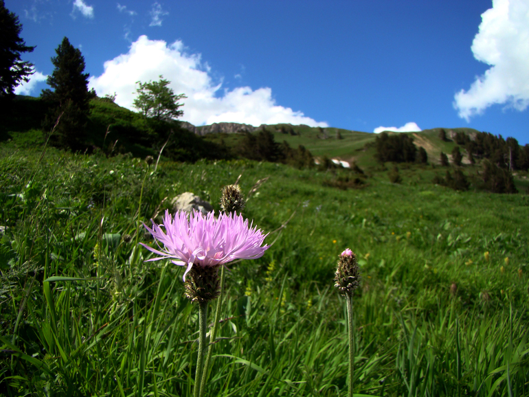 Контрольное задание № 7. Корректируем фотографию при помощи кривы