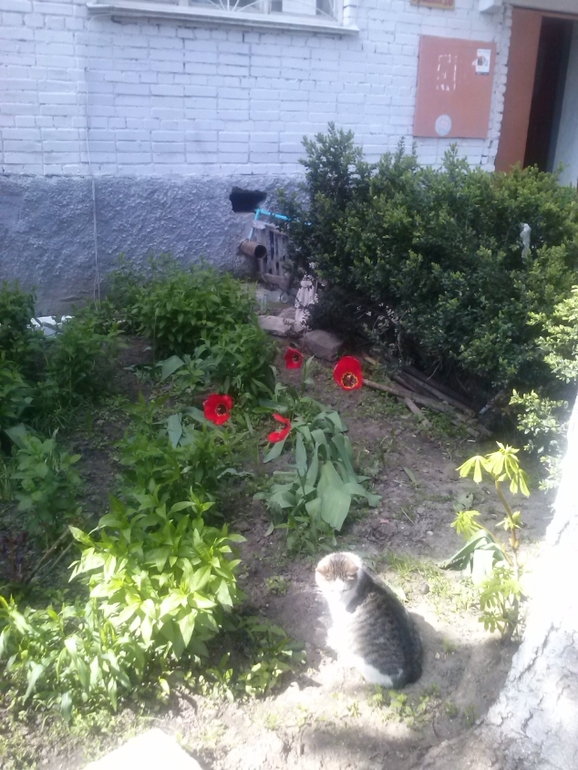 Делюсь теплом весенним:)