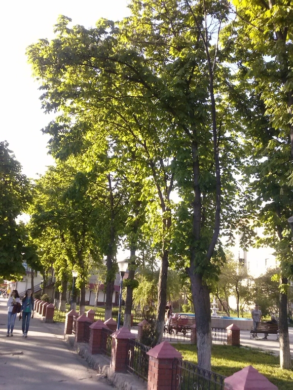 Скоро лето)))